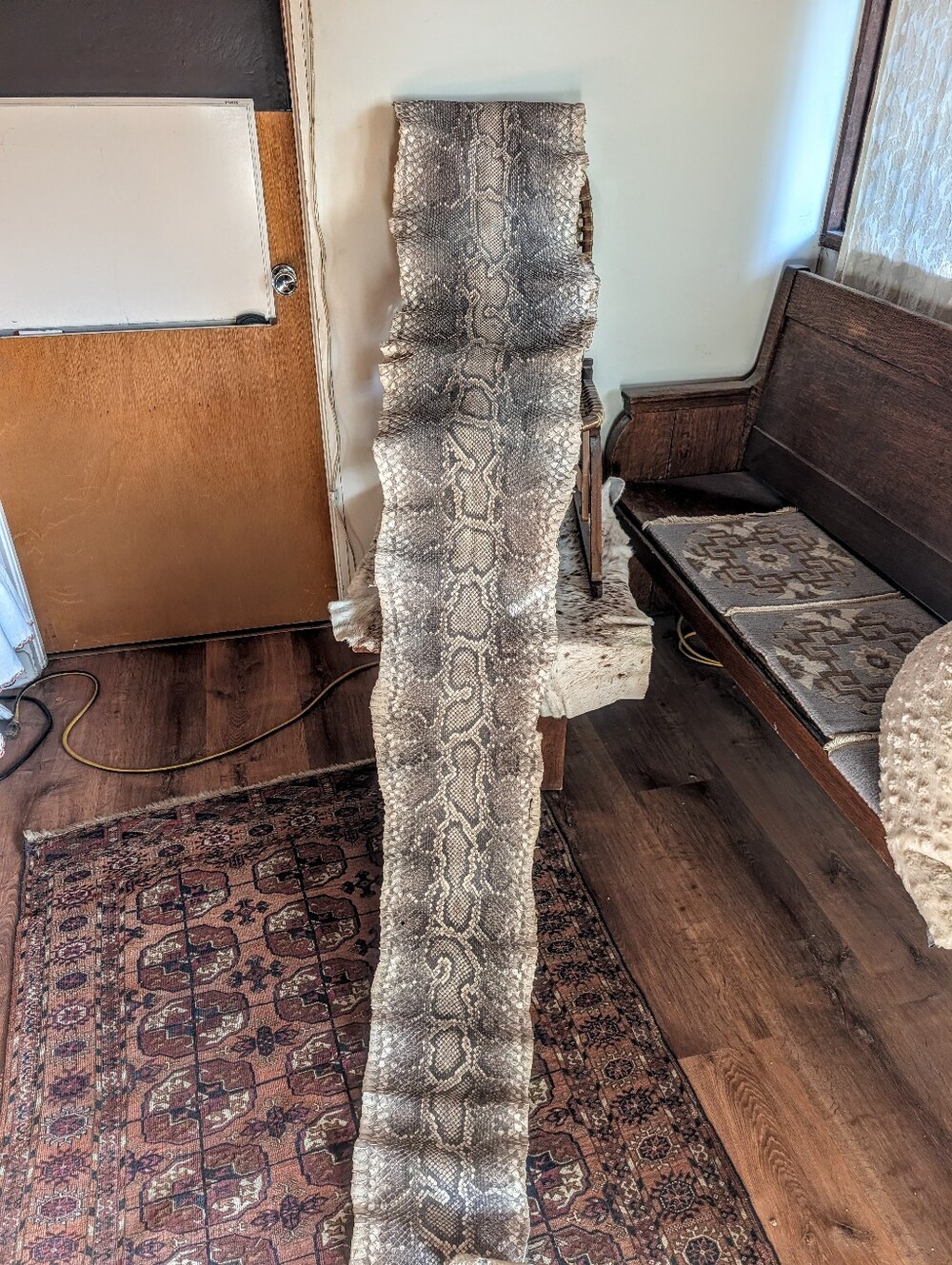 Authentic Reticulated Python Snake pelt 14feet - Picture 3 of 8
